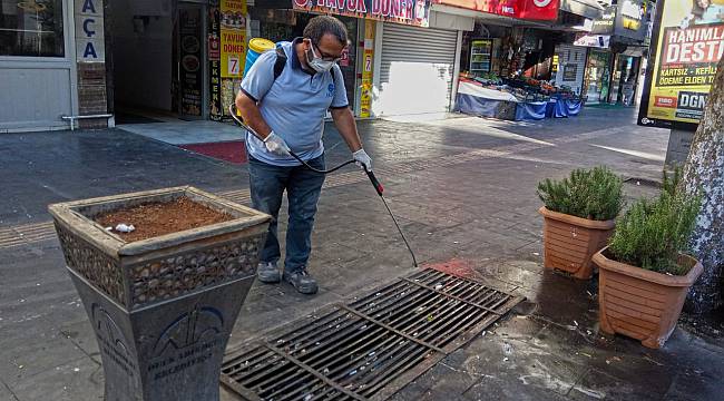 Vektörel Mücadelede Çalışmalar Sürüyor