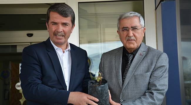 Üniversitemiz ve Türkoğlu Belediyesi İşbirliğiyle Bölge Tarımına Katkı Sağlayacak Labrusca Üzüm Yetiştiriciliği Çalışmalarına Başlandı