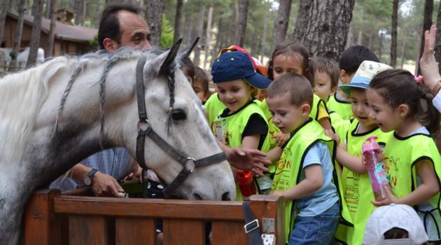 Arslanbey Doğal Yaşam Parkı'na Yoğun İlgi