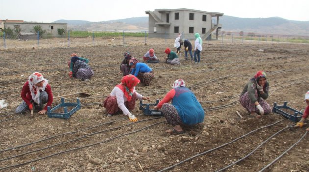 DONDURMANIN BAŞKENTİNDE SALEP ÜRETİMİ