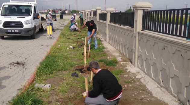 DULKADİROĞLU BELEDİYESİ VE TEMA'DAN EĞİTİME DESTEK