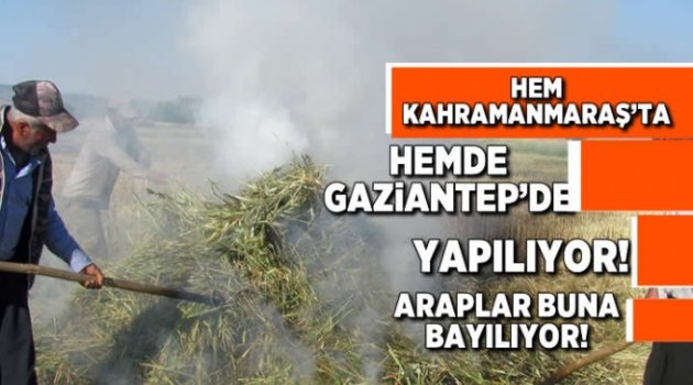 Hem Kahramanmaraş'ta Hemde Gaziantep'de yapılıyor!