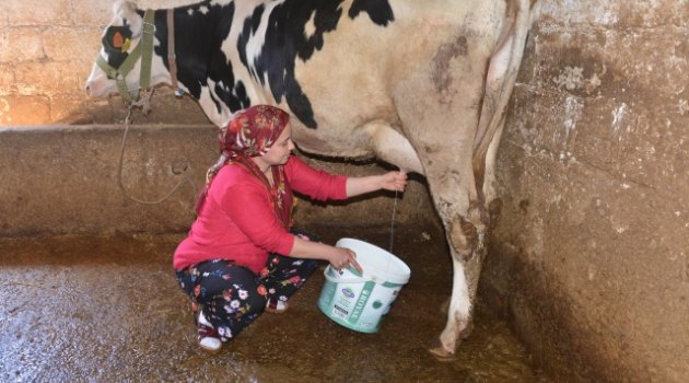 Kahramanmaraş'ta iş kadınının büyük başarısı