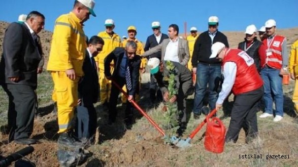 Kızılay 20 Bin Fidan Dikti