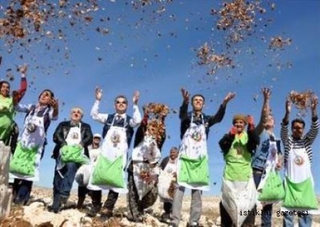 Mersin'de 10 Milyar Sedir Tohumu Toprakla Buluşuyor