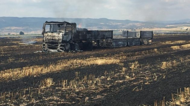 Sigara izmariti tarlayı ve tırı yakt