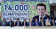 BÜYÜKŞEHİR'DEN ÇİFTÇİLERE ELMA FİDANI