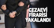 CEZAEVİ FİRARİSİ ADANA'DA YAKALANDI