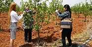 ELMADA BİYOTEKNİK MÜCADELE YÖNTEMLERİ YAYGINLAŞIYOR