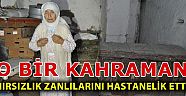 Hırsızlık şüphelilerini sopayla yakaladı