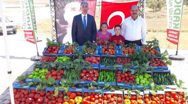 TARIMSAL KALKINMA İLE BÖLGEYE ÖRNEK OLACAKLAR.